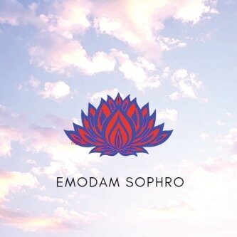 LOGO EMODAM